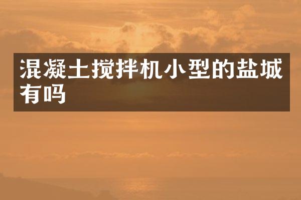 混凝土攪拌機小型的鹽城有嗎