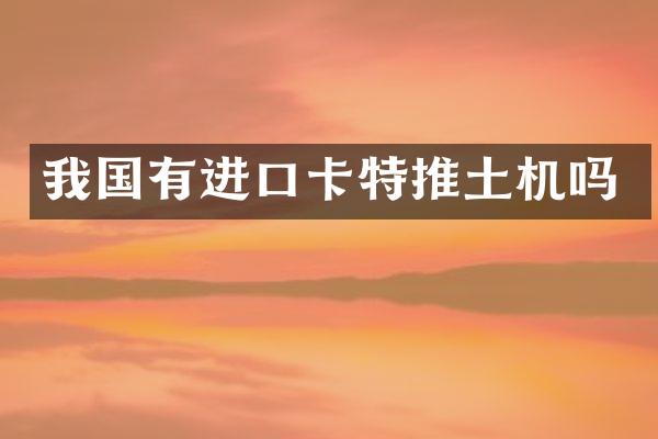 我國有進口卡特推土機嗎