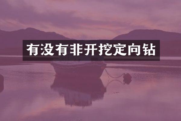 有沒(méi)有非開挖定向鉆