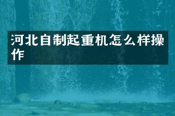 河北自制起重機(jī)怎么樣操作