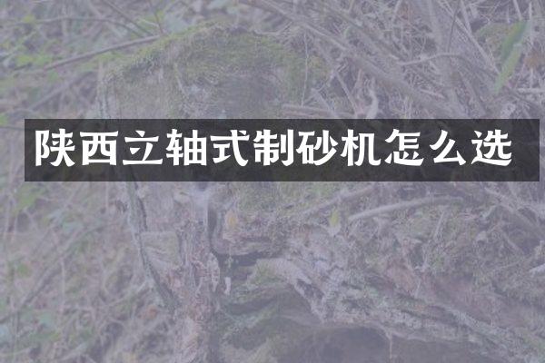 陜西立軸式制砂機怎么選