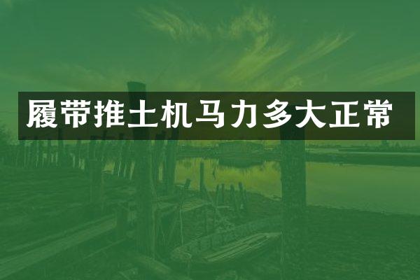 履帶推土機馬力多大正常