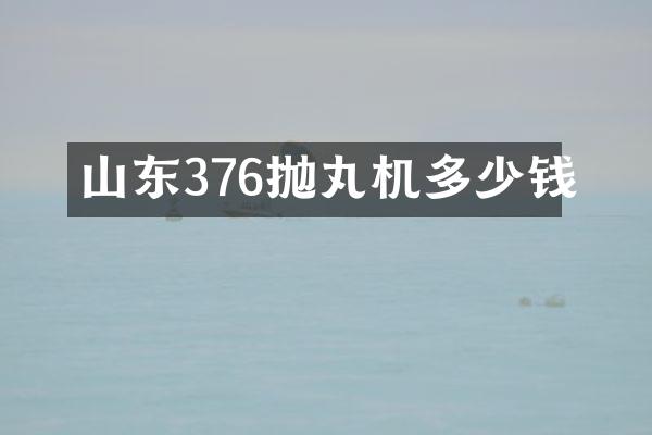 山東376拋丸機(jī)多少錢