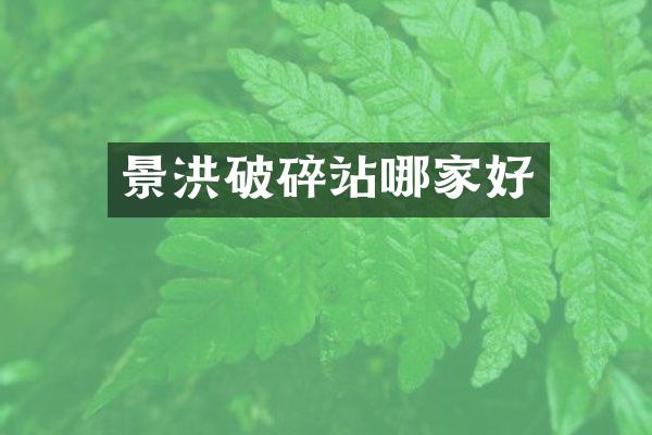 景洪破碎站哪家好