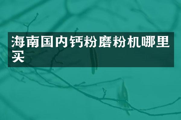 海南國內(nèi)鈣粉磨粉機(jī)哪里買