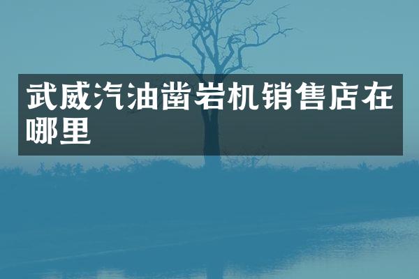 武威汽油鑿巖機(jī)銷售店在哪里