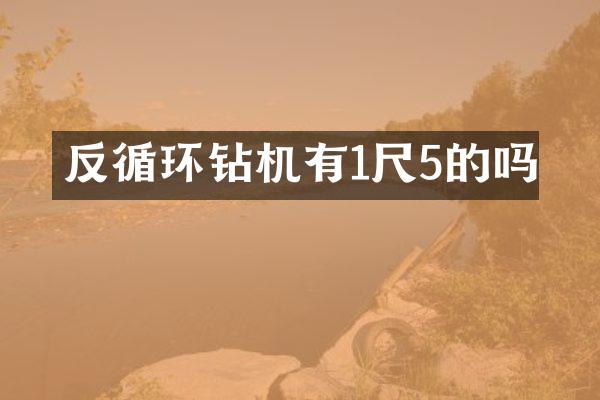 反循環(huán)鉆機(jī)有1尺5的嗎