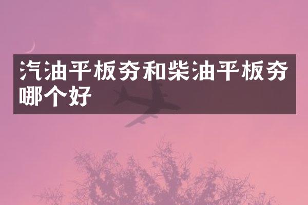 汽油平板夯和柴油平板夯哪個(gè)好