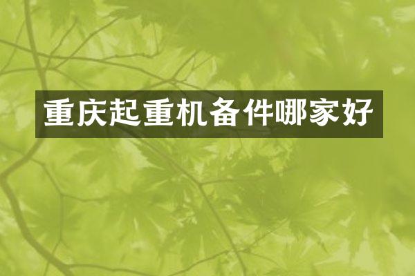 重慶起重機(jī)備件哪家好