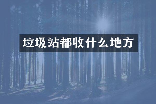 垃圾站都收什么地方