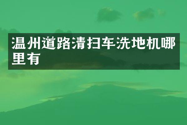 溫州道路清掃車洗地機哪里有