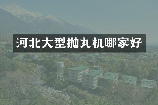 河北大型拋丸機哪家好