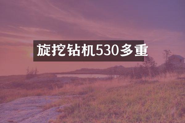 旋挖鉆機530多重