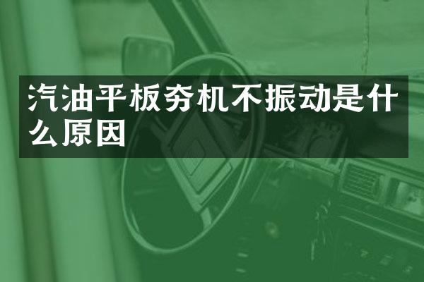 汽油平板夯機不振動是什么原因