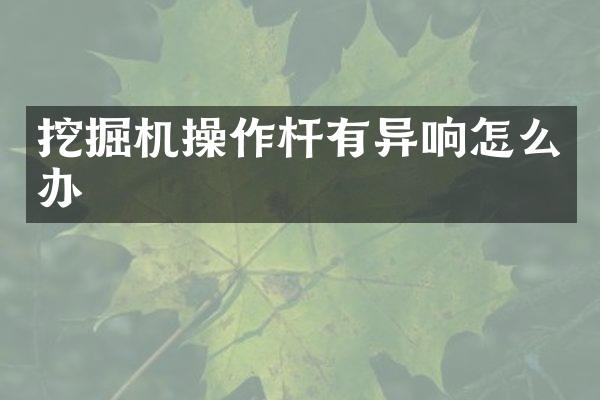 挖掘機操作桿有異響怎么辦