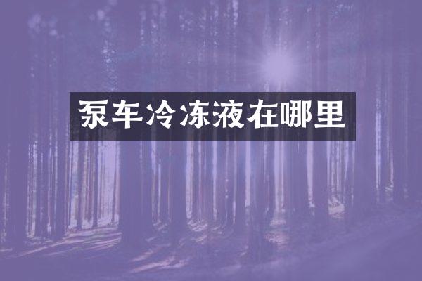 泵车冷冻液在哪里