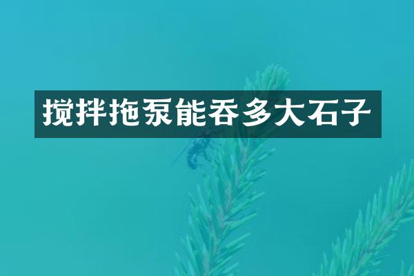 攪拌拖泵能吞多大石子