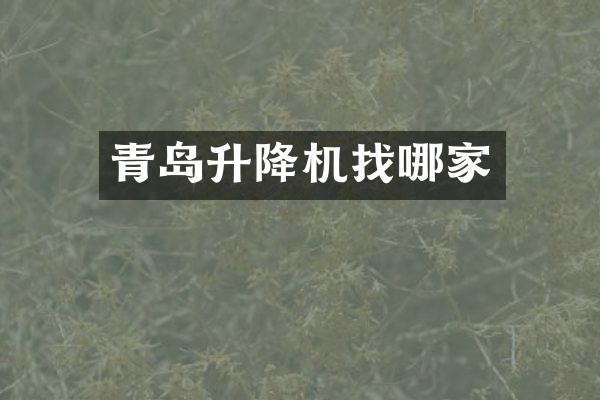 青島升降機找哪家