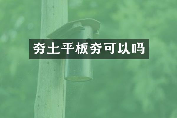 夯土平板夯可以嗎