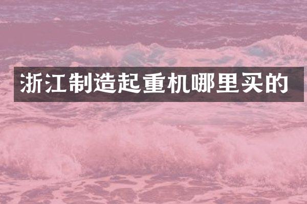 浙江制造起重機(jī)哪里買(mǎi)的