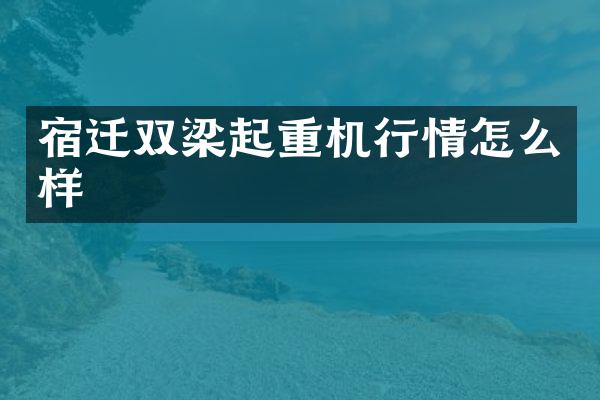 宿遷雙梁起重機行情怎么樣