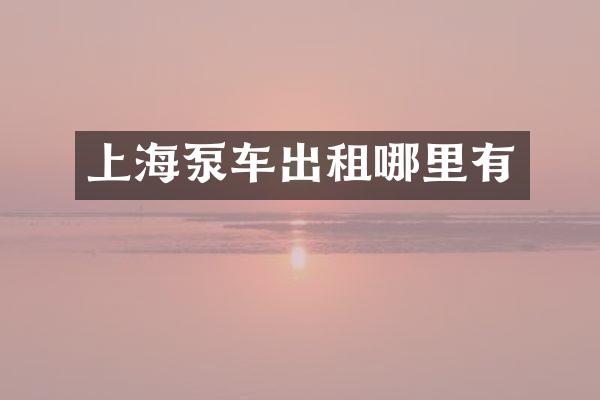 上海泵車出租哪里有