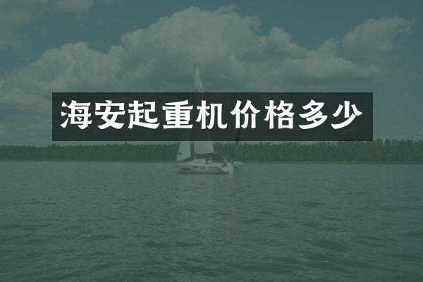 海安起重機(jī)價(jià)格多少