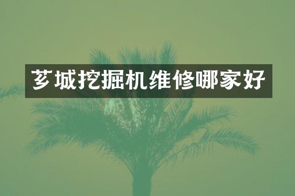 薌城挖掘機(jī)維修哪家好