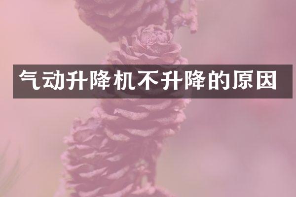 氣動升降機不升降的原因