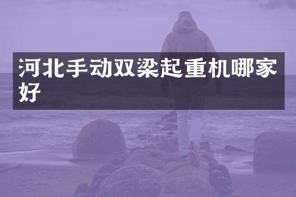 河北手動雙梁起重機哪家好