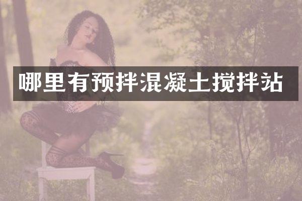 哪里有預(yù)拌混凝土攪拌站