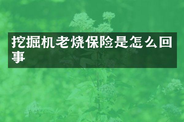 挖掘機老燒保險是怎么回事