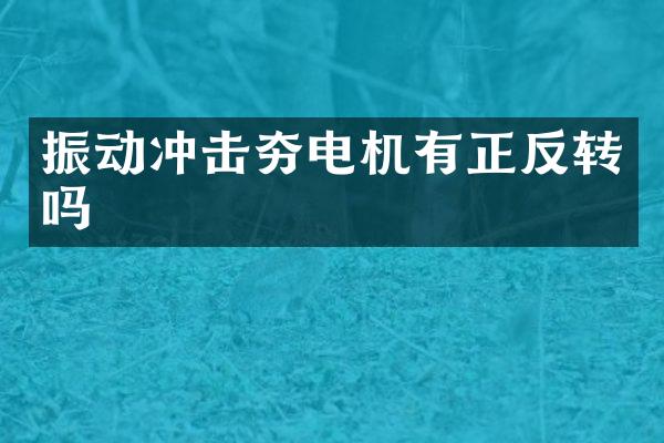 振動(dòng)沖擊夯電機(jī)有正反轉(zhuǎn)嗎