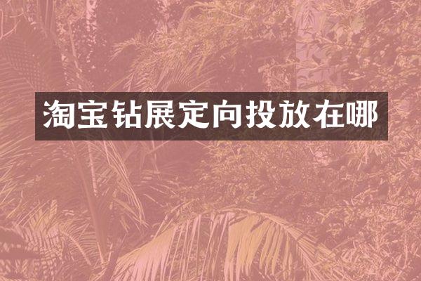 淘寶鉆展定向投放在哪