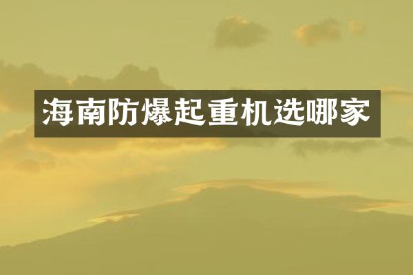 海南防爆起重機選哪家