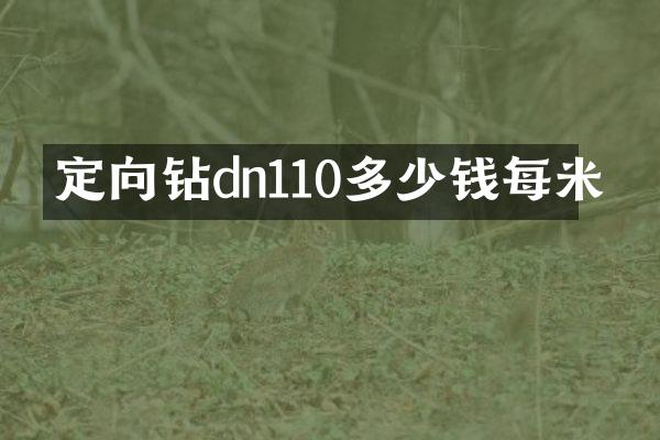 定向鉆dn110多少錢每米