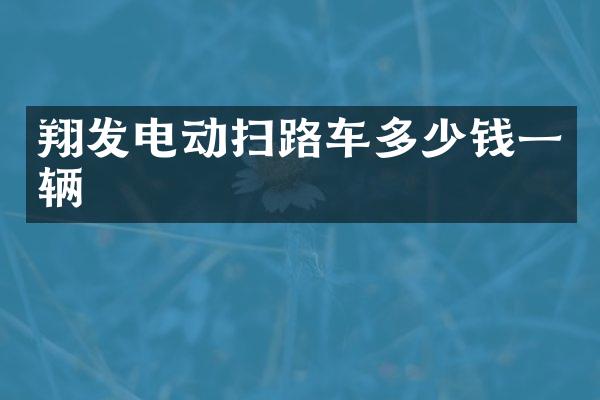 翔發(fā)電動掃路車多少錢一輛