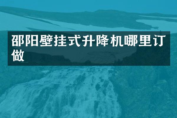 邵陽壁掛式升降機(jī)哪里訂做