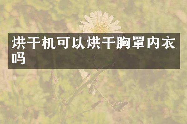 烘干機(jī)可以烘干胸罩內(nèi)衣嗎