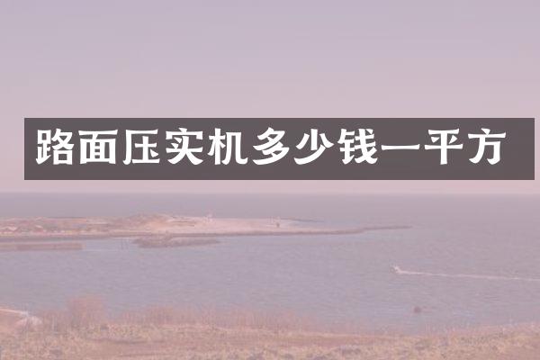 路面壓實(shí)機(jī)多少錢一平方