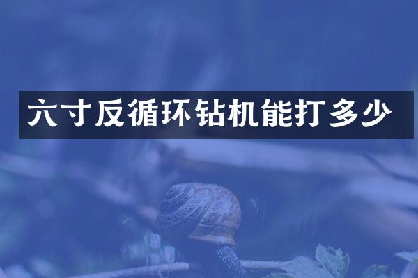 六寸反循環(huán)鉆機能打多少