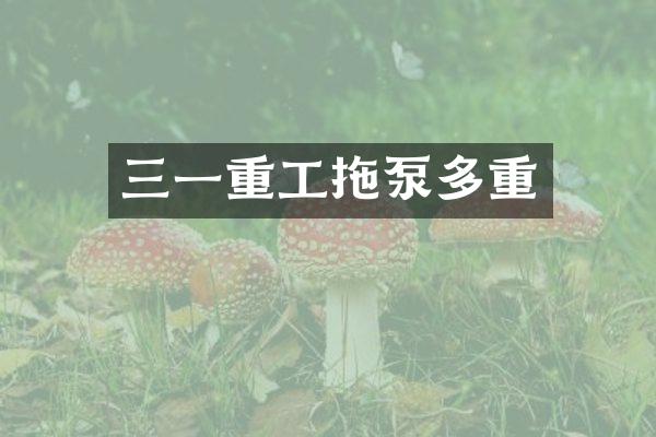 三一重工拖泵多重