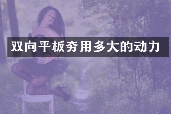 雙向平板夯用多大的動力