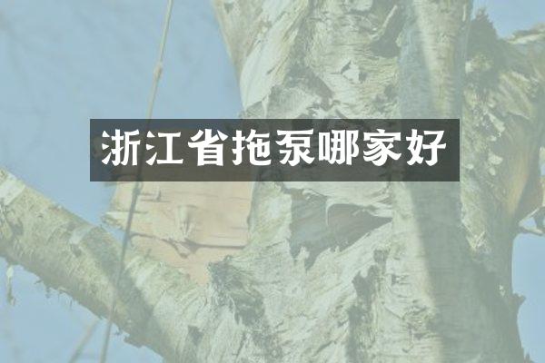 浙江省拖泵哪家好