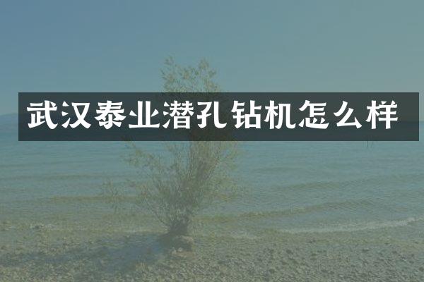 武漢泰業(yè)潛孔鉆機怎么樣