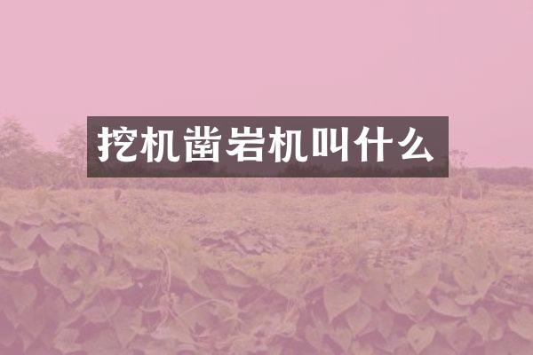 挖機鑿巖機叫什么