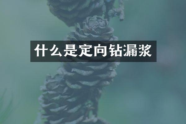 什么是定向鉆漏漿