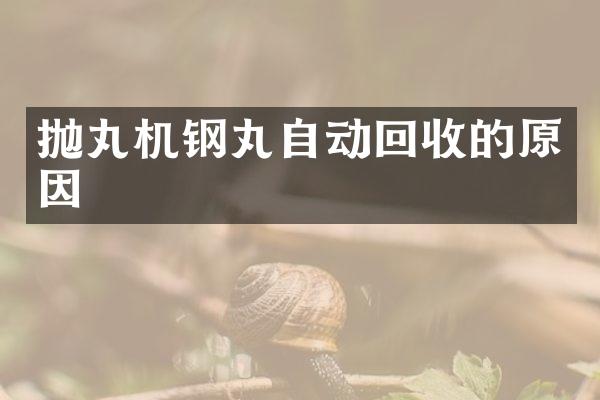 拋丸機(jī)鋼丸自動(dòng)回收的原因