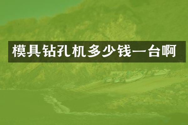 模具鉆孔機(jī)多少錢一臺(tái)啊