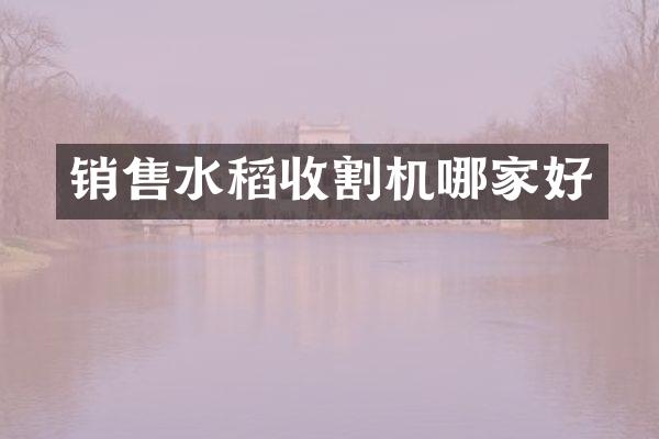 銷售水稻收割機哪家好